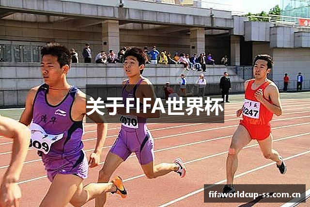 关于FIFA世界杯